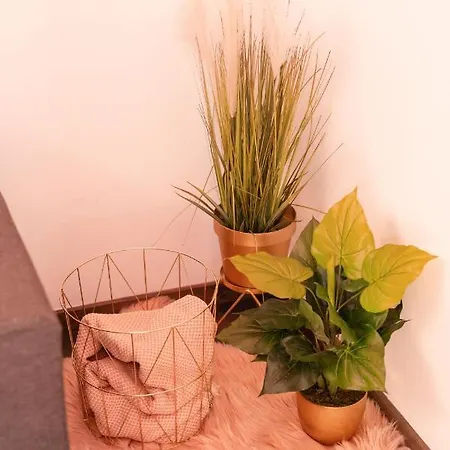 Reina 아파트 사라예보