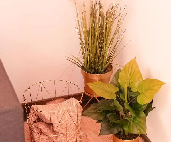 Reina Apartman Szarajevó